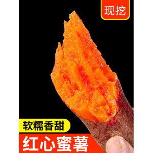 古泽黄香 100%现挖 红心甜蜜薯*5斤
