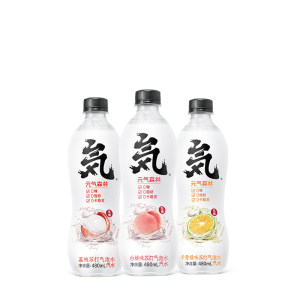 元気森林 0糖0脂0卡 白桃/荔枝/卡曼橘 3口味苏打气泡水 480ml*12瓶 50.9元预售到手价
