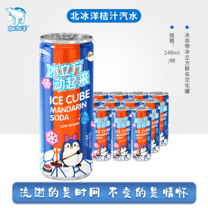 老北京汽水 北冰洋 桔汁碳酸饮料 248ml*12罐
