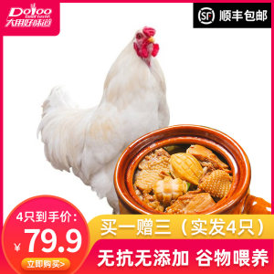 国家重点企业 大用好味道 农家散养土鸡 730g*4只