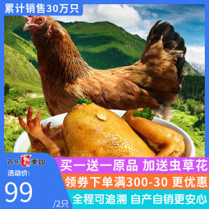 首农旗下 百年栗园 500天散养老母鸡 2斤*2只 89元美食美器价