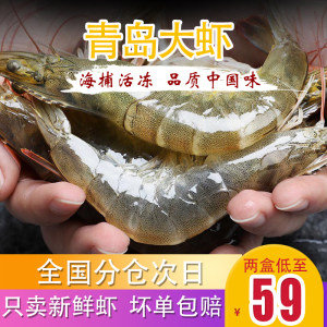 青岛 海捕海虾 净重2.8斤 10-12cm