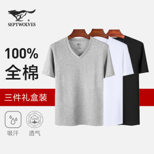 七匹狼 男士100%纯棉 V领/圆领T恤