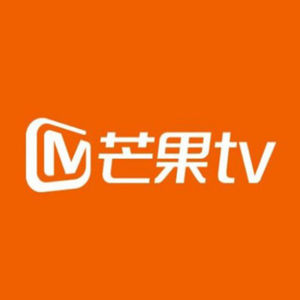 芒果TV会员 13个月 手机+电脑+平板