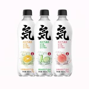 元気森林 0糖0脂0卡 苏打气泡水饮料 480ml*12瓶